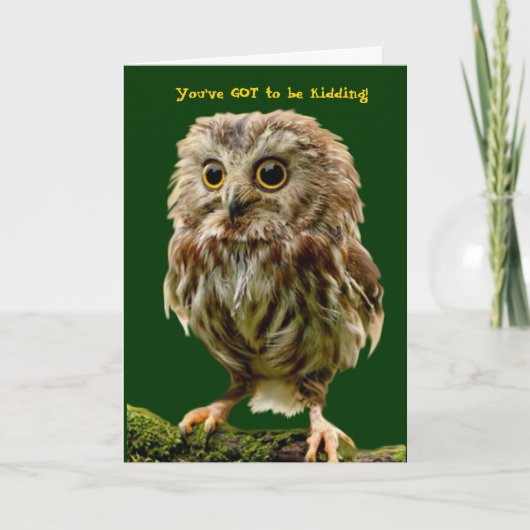 Scruffy Owl verjaardagskaart Kaart (Voorkant)