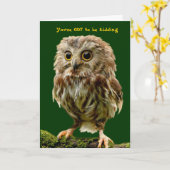 Scruffy Owl verjaardagskaart Kaart (Gele Bloem)