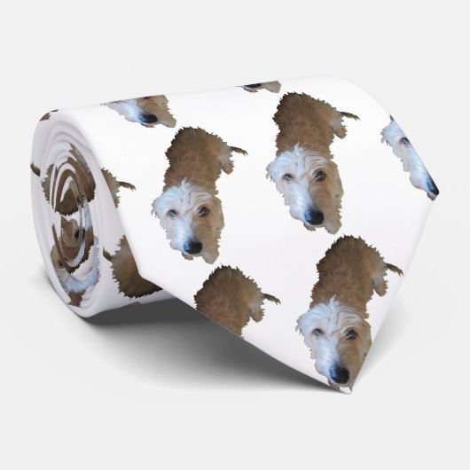 Scruffy Wiener Dog Stropdas (Opgerold)