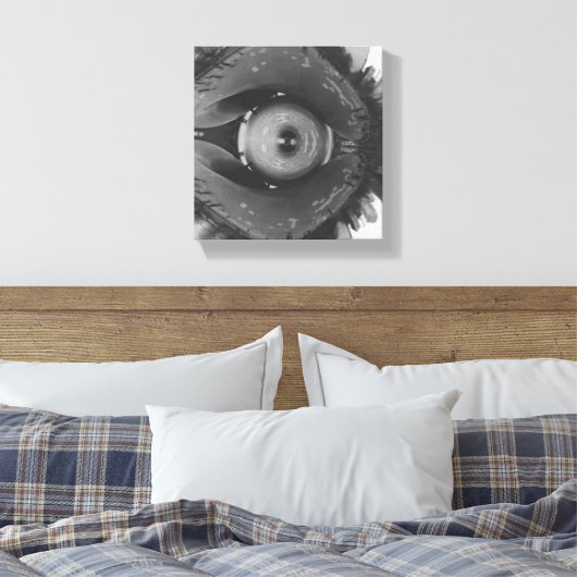 Scrunched Chicago Eye Canvas Afdruk (Insitu (Slaapkamer))