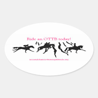 SCT-Logo-Sticker Ovale Sticker
