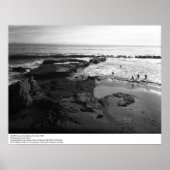 SCUBA Class, Santa Barbara, 1966 Poster (Voorkant)