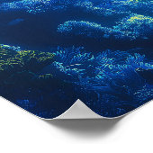 Scuba Divers, onderwaterscène Poster (Hoek)