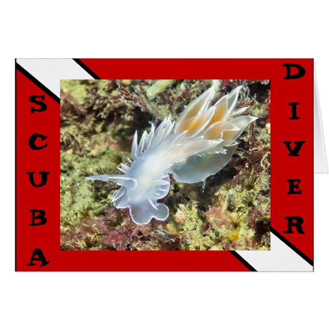 Scuba Divier Nudibranch Kaart (Voorkant Horizontaal)