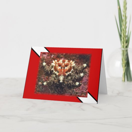 Scuba Diving Heart Crab - Kaart (Voorkant)