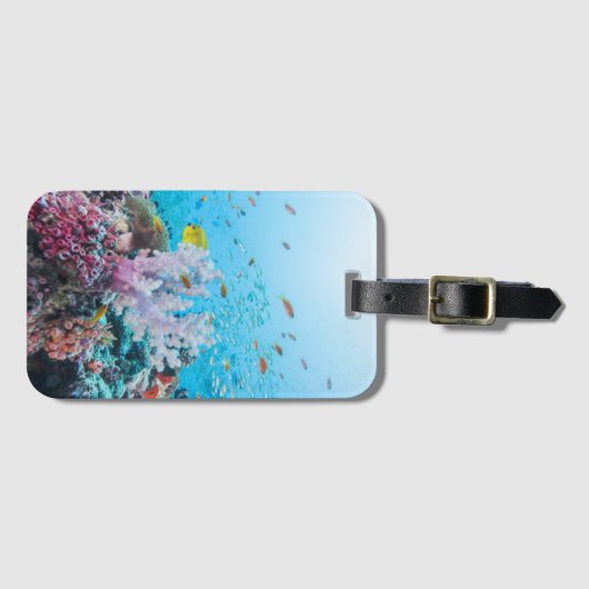 Scuba duiken met kleurrijk rif en koraal bagagelabel (Voorkant (horizontaal))