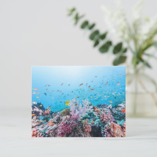 Scuba duiken met kleurrijk rif en koraal briefkaart (Staand voorkant)