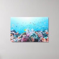 Scuba duiken met kleurrijk rif en koraal