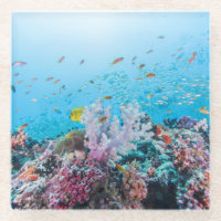 Scuba duiken met kleurrijk rif en koraal