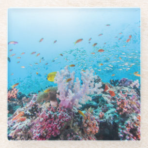 Scuba duiken met kleurrijk rif en koraal glazen onderzetter