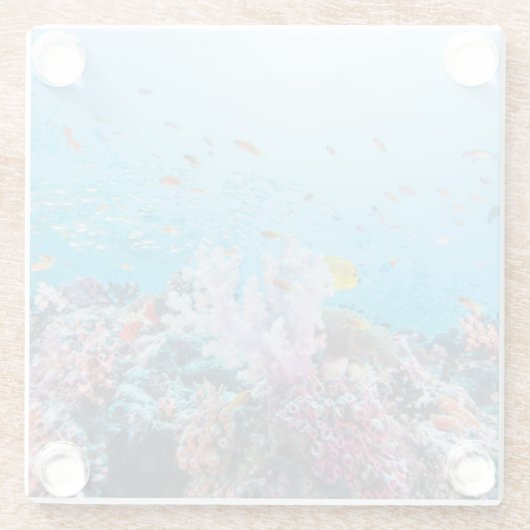 Scuba duiken met kleurrijk rif en koraal glazen onderzetter (Achterkant)