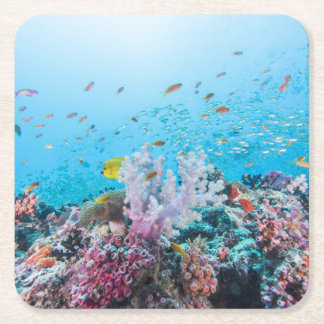 Scuba duiken met kleurrijk rif en koraal kartonnen onderzetters