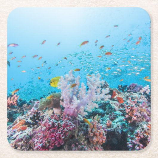 Scuba duiken met kleurrijk rif en koraal kartonnen onderzetters (Voorkant)