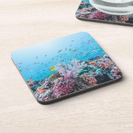 Scuba duiken met kleurrijk rif en koraal onderzetter (Linkerzijde)