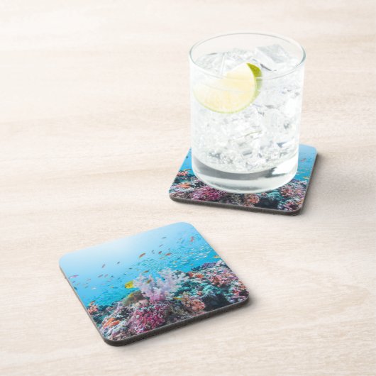 Scuba duiken met kleurrijk rif en koraal onderzetter (Rechterzijde)