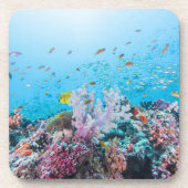 Scuba duiken met kleurrijk rif en koraal onderzetter (Voorkant)