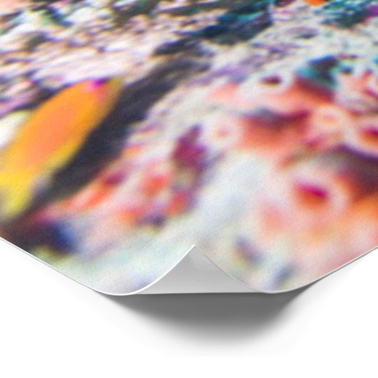 Scuba duiken met kleurrijk rif en koraal poster (Hoek)