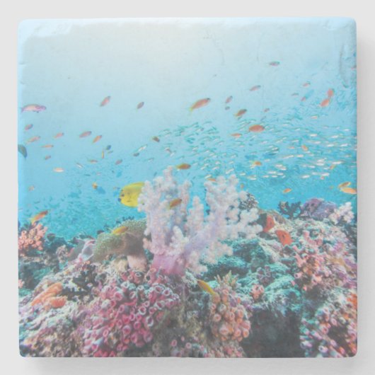 Scuba duiken met kleurrijk rif en koraal stenen onderzetter (Voorkant)