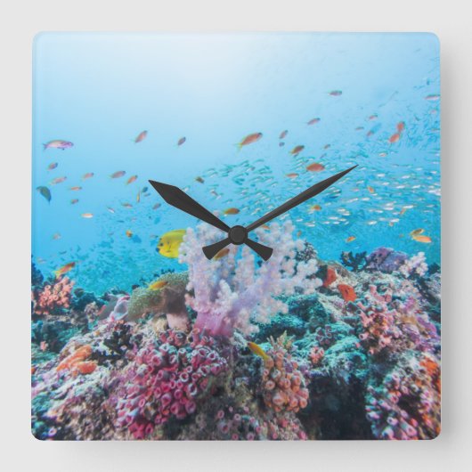 Scuba duiken met kleurrijk rif en koraal vierkante klok (Voorkant)
