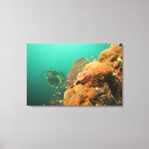 scuba-duiker & Scorpionfish Scorpanopsis Canvas Afdruk
