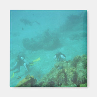 Scuba duikers droommagneet magneet