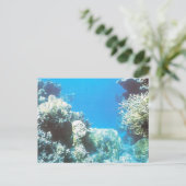 Scuba duikterrein in het Rode Zee Briefkaart (Staand voorkant)