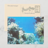 Scuba duikterrein in het Rode Zee Briefkaart (Voorkant / Achterkant)