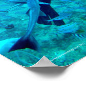 Scuba Pro Poster (Hoek)