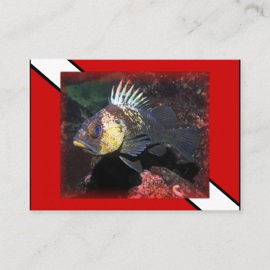 Scuba Rockfish - Visitekaartje (Voorkant)