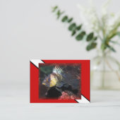 Scuba Rockfish - Visitekaartje (Staand voorkant)