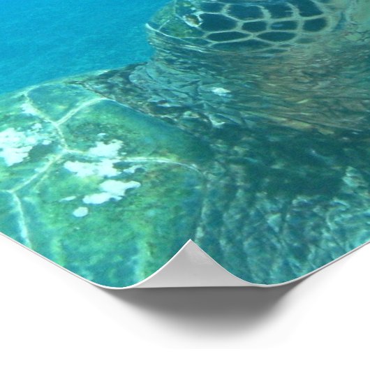 Scuba Underwater Life Poster (Hoek)