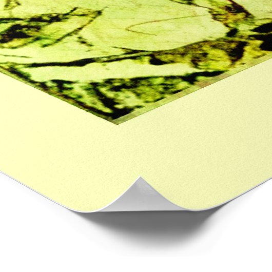 Scull en Roos Struik Poster (Hoek)