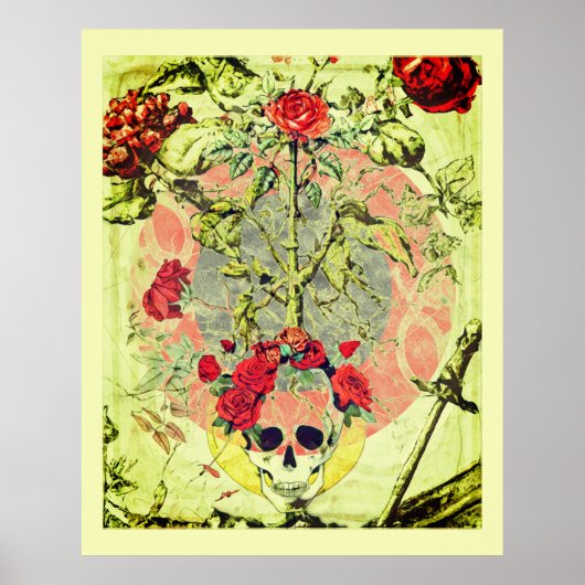 Scull en Roos Struik Poster (Voorkant)