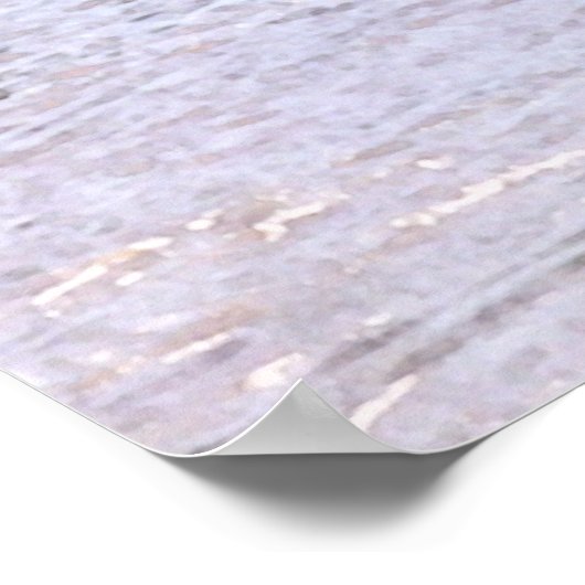 Scullers op de Potomac Poster (Hoek)