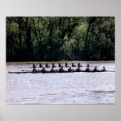 Scullers op de Potomac Poster (Voorkant)