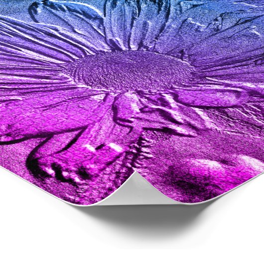 Sculpted Effect Black Eyed Susan Flower Abstract Poster (Hoek)