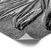 Sculpted Effect Black Eyed Susan Flower Art Poster (Hoek)