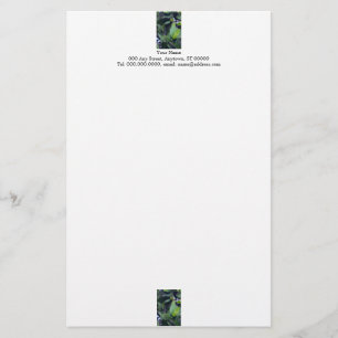 Sculpturale bladeren briefpapier