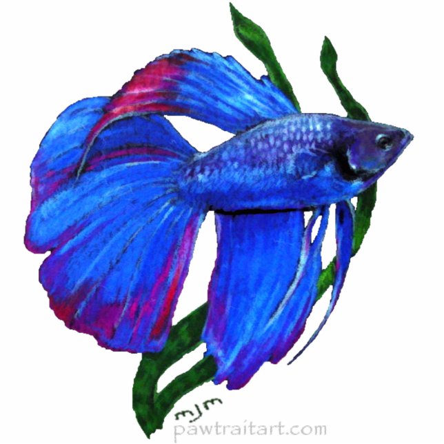 Sculptuur - Betta Fish Staand Fotobeeldje (Voorkant)
