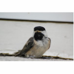 sculptuur van zwarte cichorei staand fotobeeldje<br><div class="desc">Zwarte cichorei's eerste vlucht</div>