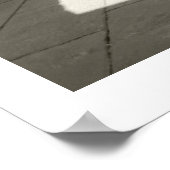 Scuole Palatine Poster (Hoek)