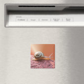 Scurry Snail ~ magneet (Insitu (Vaatwasser))