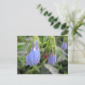 Scutellaire à fleurs latérales briefkaart (Staand voorkant)