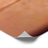 Scutigera Coleoptrata-Poster Poster (Hoek)