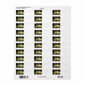 scwt in bossen etiket (Full Sheet)