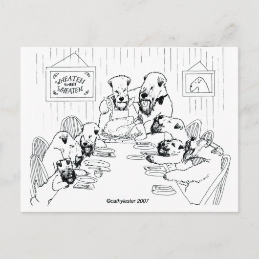 SCWT-reeks Briefkaart (Voorkant)