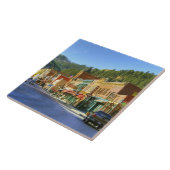 SD, Deadwood, Historic Gold Mining town Tegeltje (Zijkant)