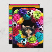 Sdag van de Dode Kat Vakantiewenskaart Feestdagenkaart (Voorkant / Achterkant)