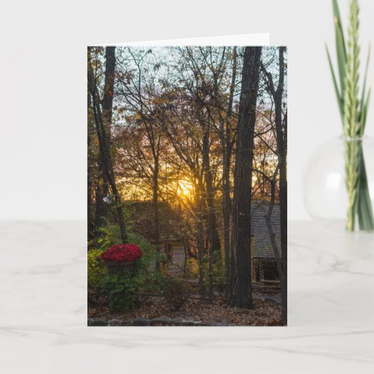 SDC Bossen Sunset Kaart (Voorkant)