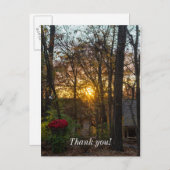 Sdc Woods Zonsondergang Briefkaart (Voorkant / Achterkant)